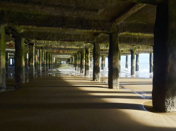 Cost of Concrete Pier Repair in Longwood